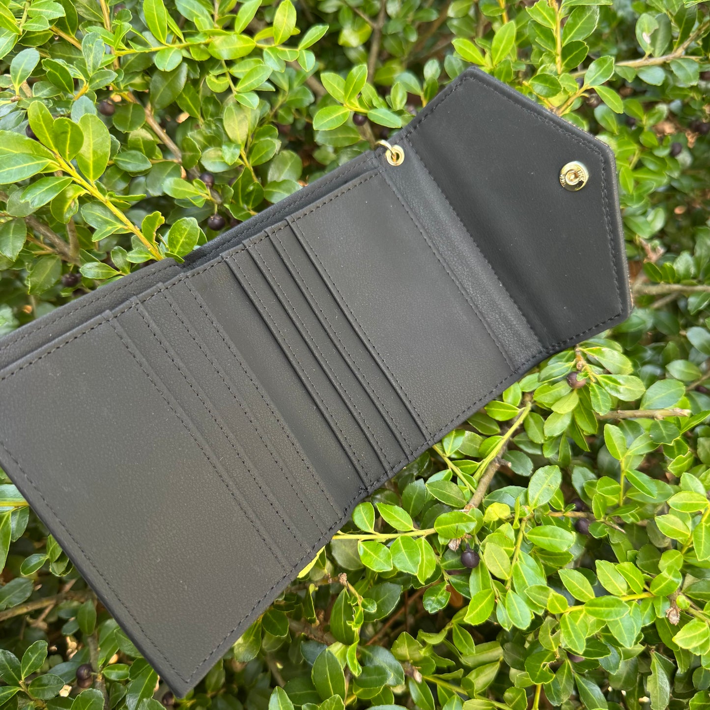 Black Compact Wallet With Brown Gigi