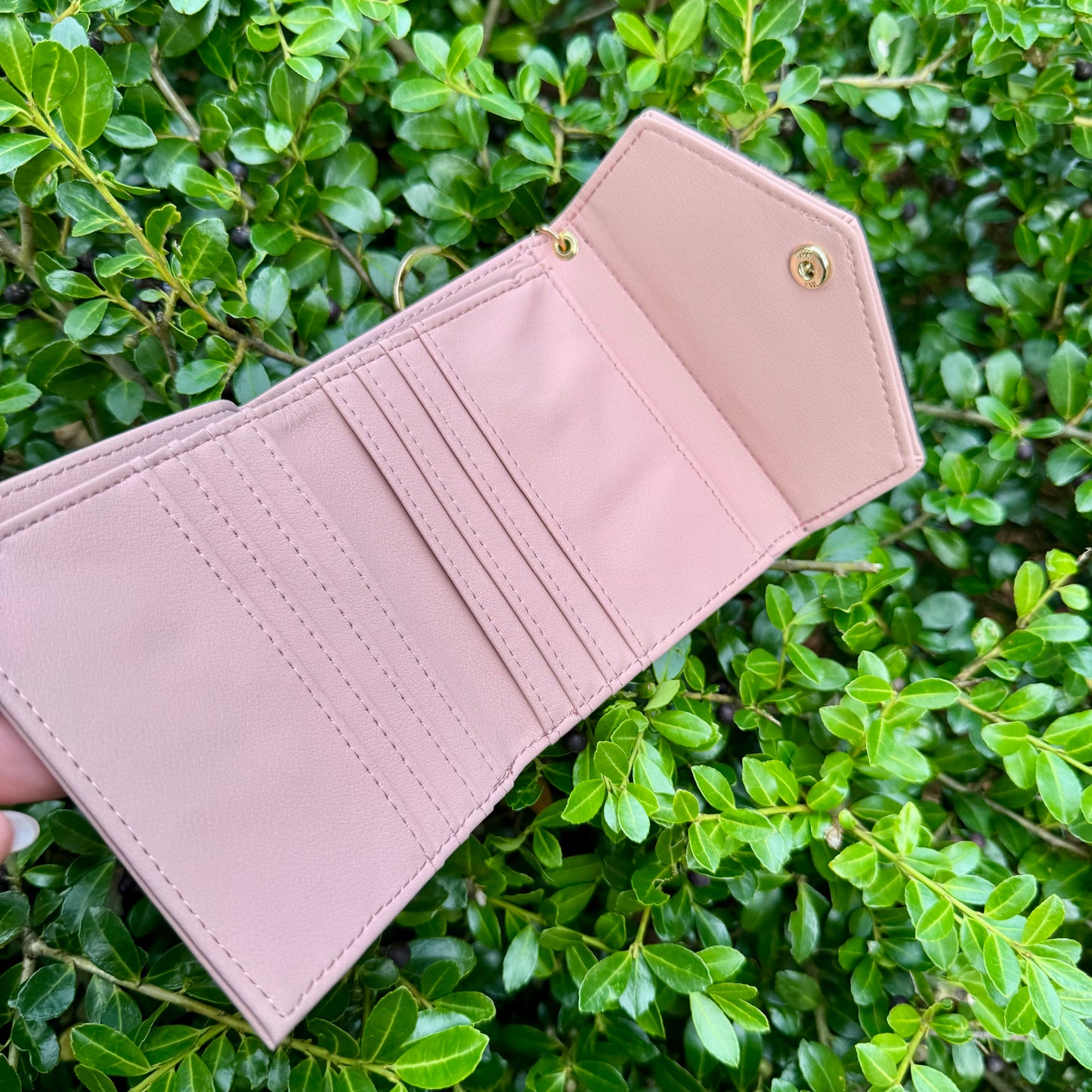 Pale Pink Compact Wallet With Brown Fifi