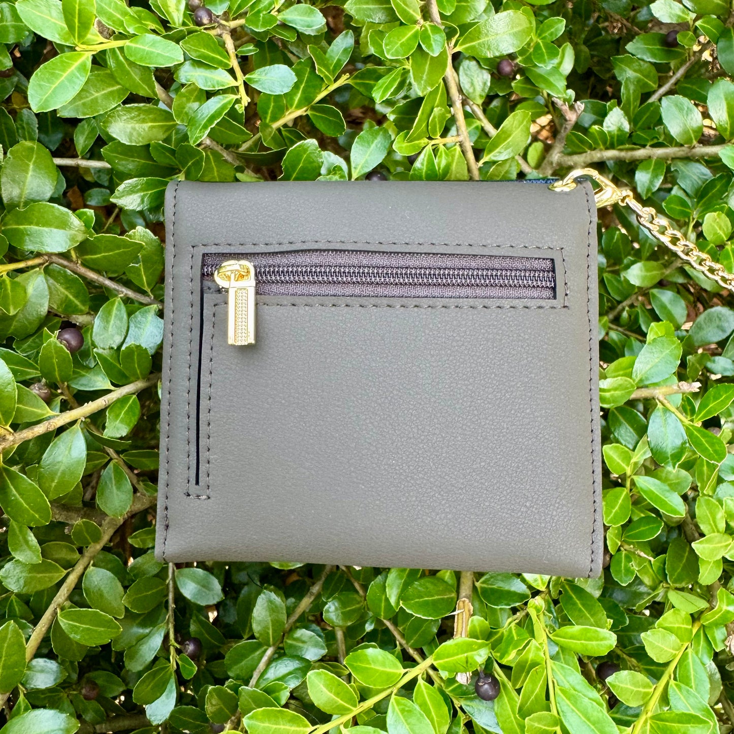 Gray Compact Wallet With Navy Gigi