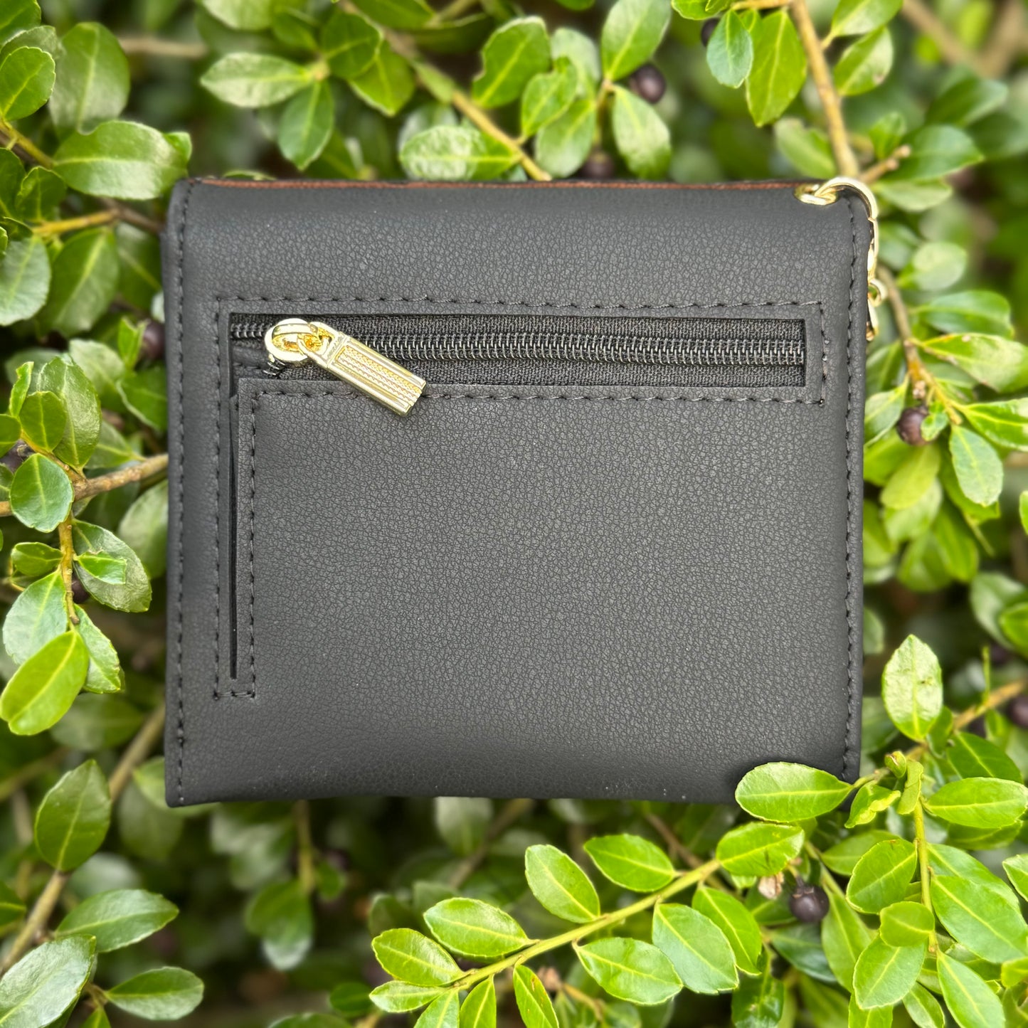 Black Compact Wallet With Brown Fifi