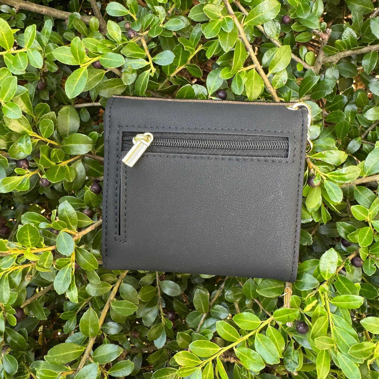 Black Compact Wallet With Brown Gigi