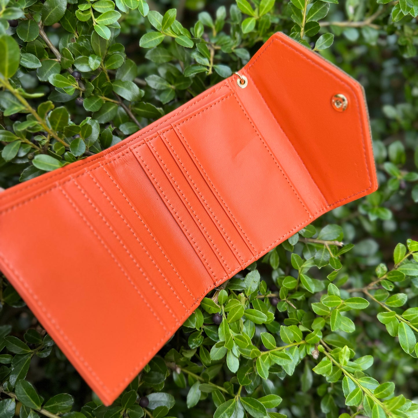 Orange Compact Wallet With Brown Gigi