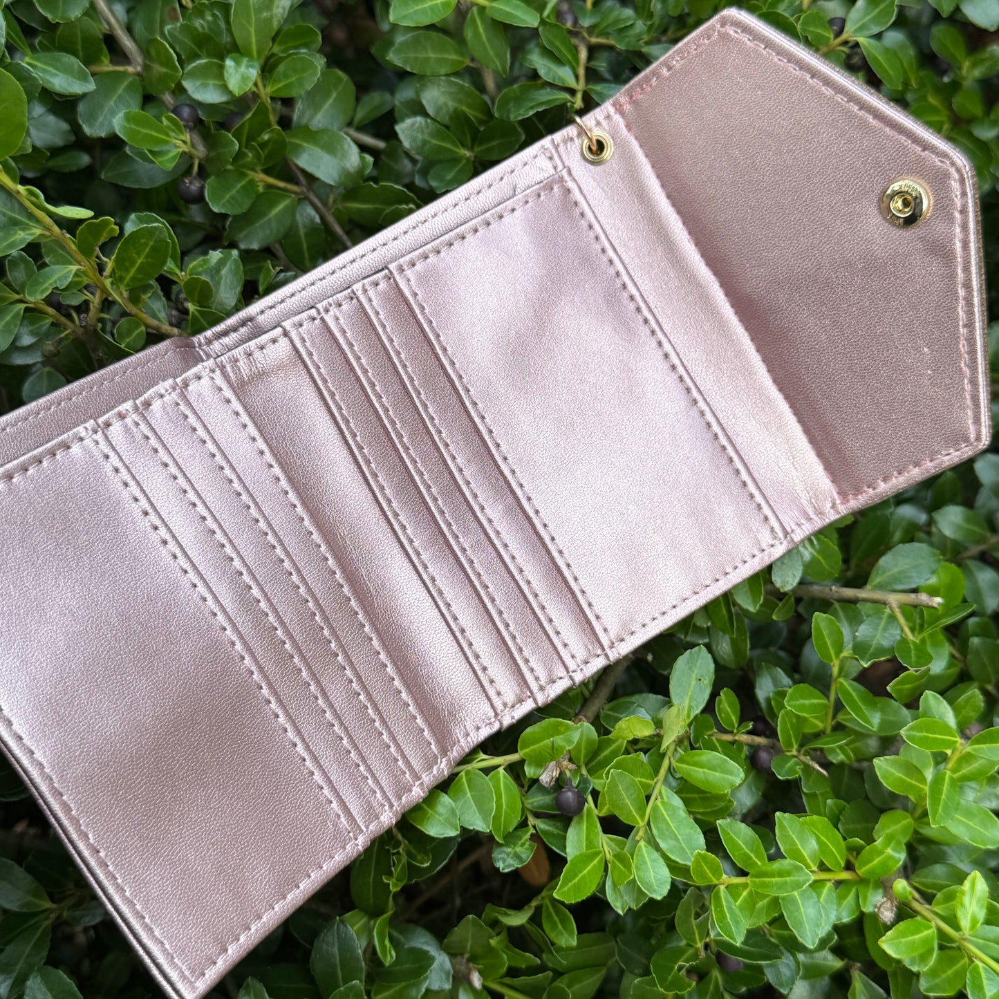 Rose Gold Compact Wallet With Brown Gigi