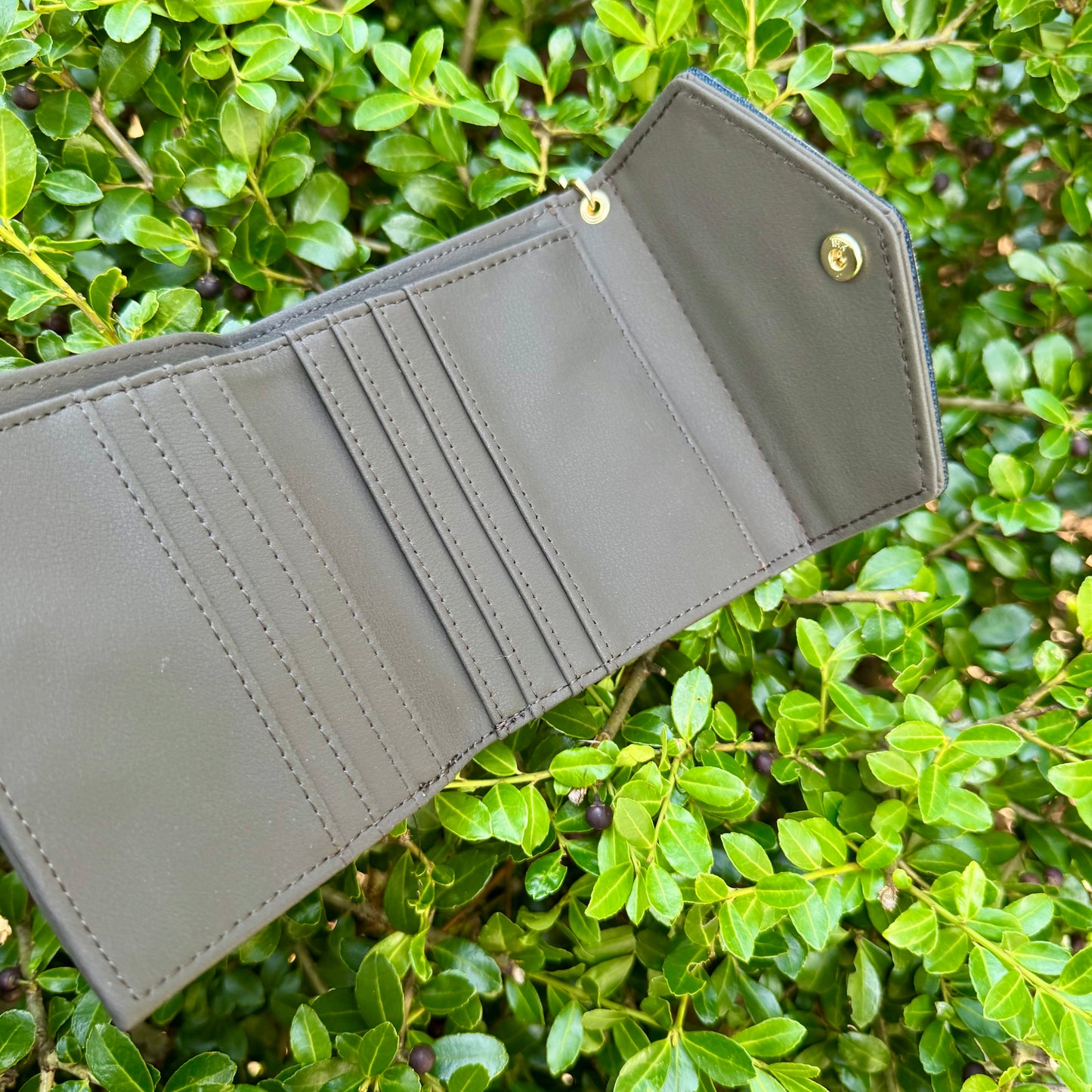 Gray Compact Wallet With Navy Gigi