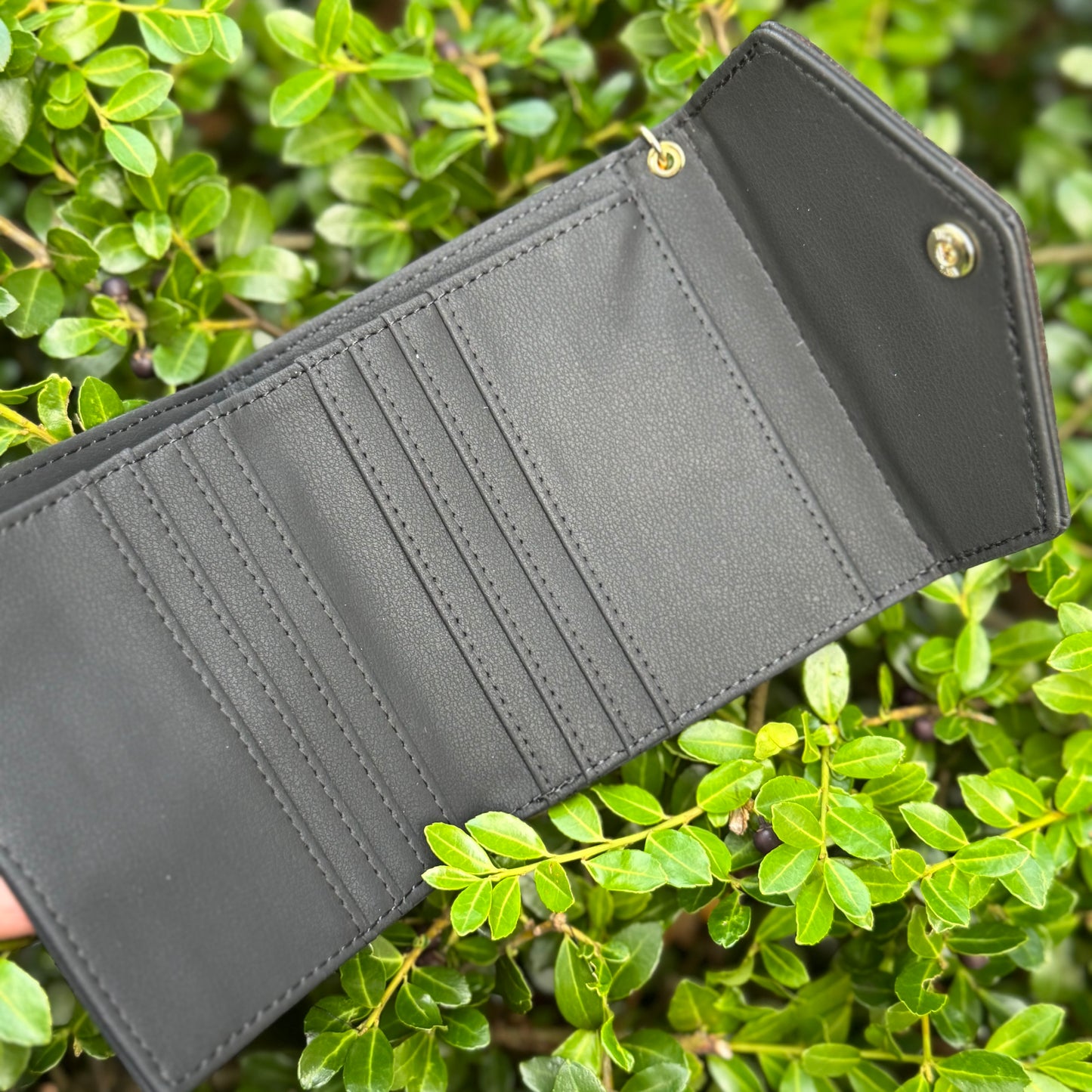 Black Compact Wallet With Brown Fifi