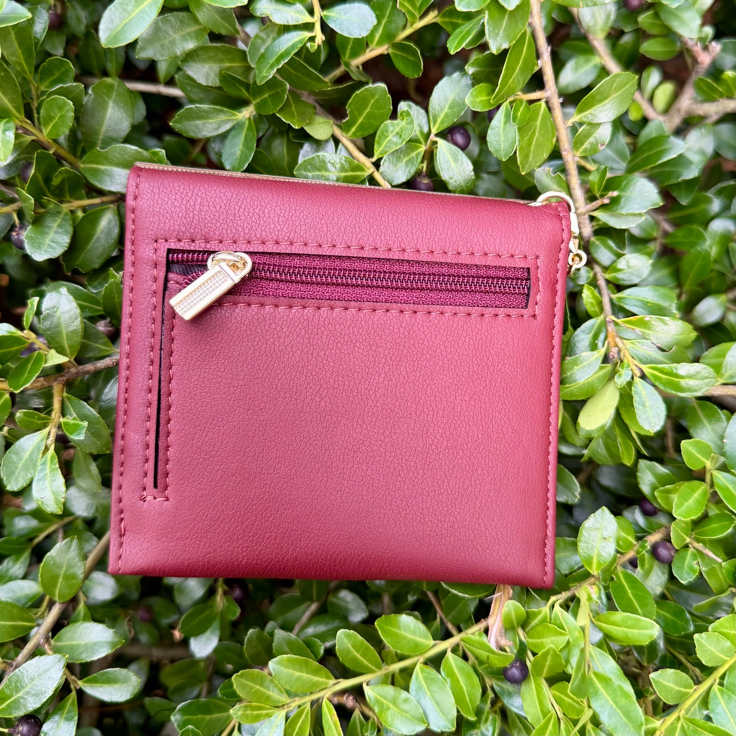 Burgundy Compact Wallet With Brown Gigi