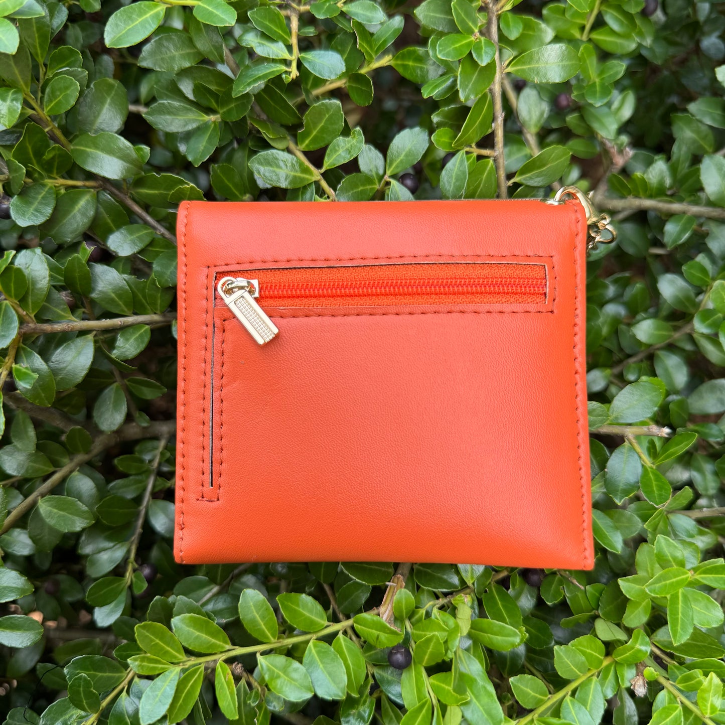 Orange Compact Wallet With Brown Gigi