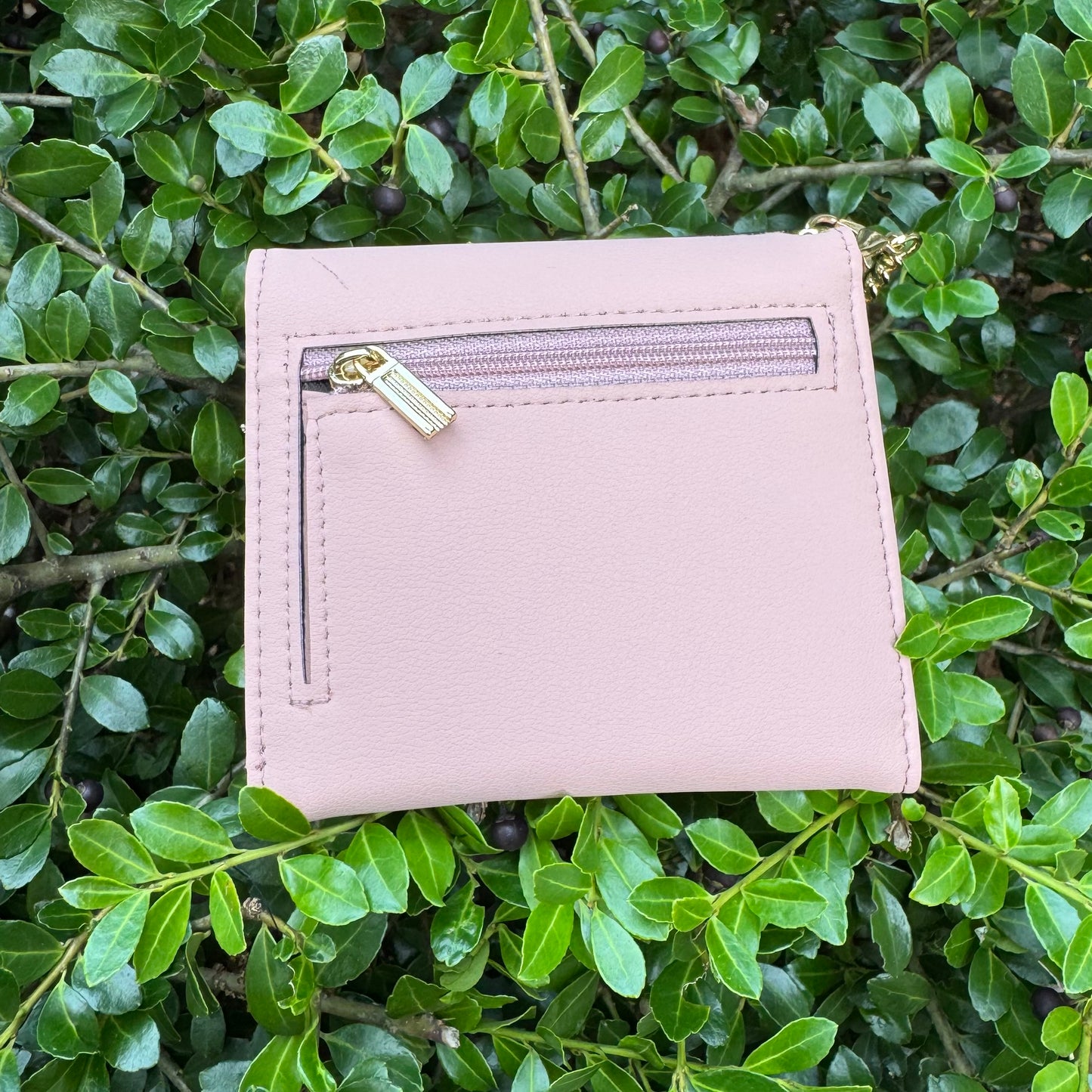 Pale Pink Compact Wallet With Brown Fifi