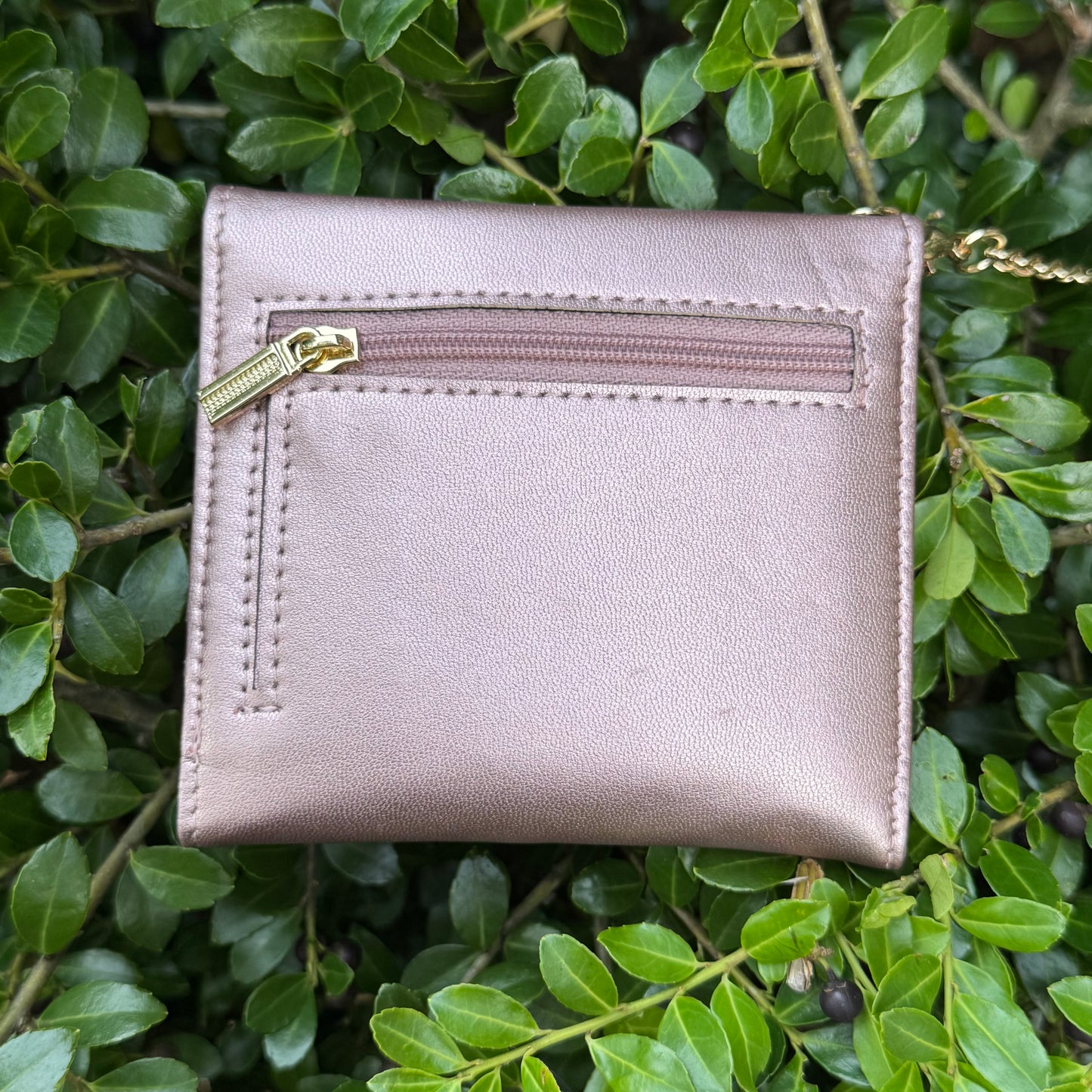 Rose Gold Compact Wallet With Brown Gigi