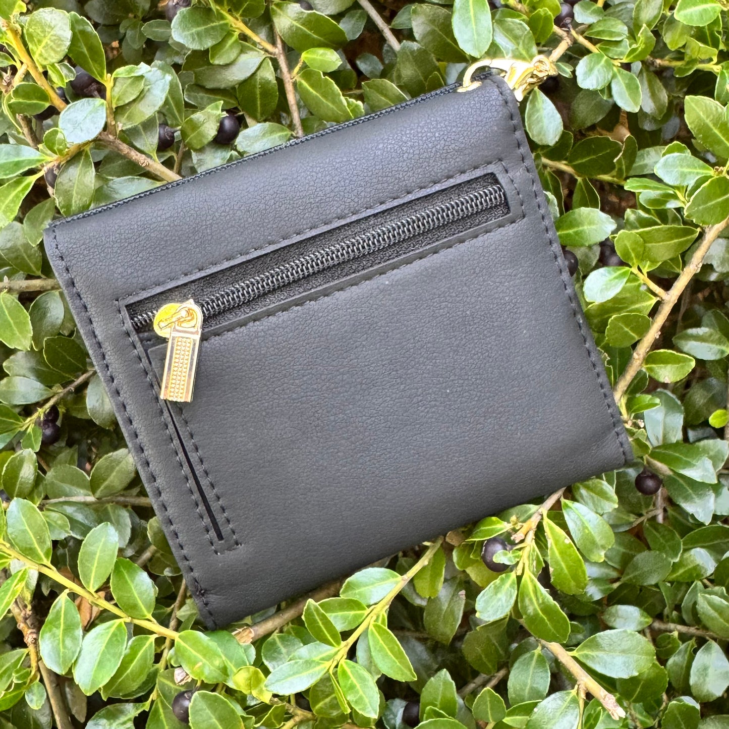 Black Compact Wallet Wth Black Gigi