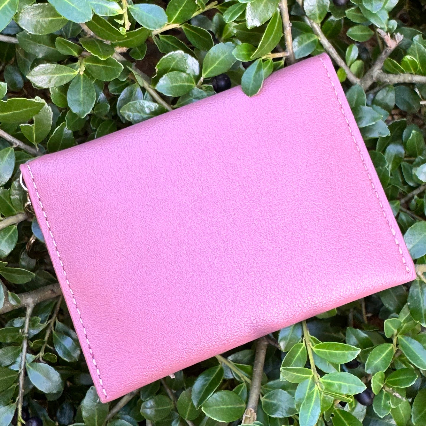 Pink Compact Cardholder With Brown Gigi